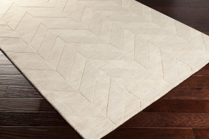 Central Park AWHP-4028 2' x 3' Handmade Wool Accent Rug