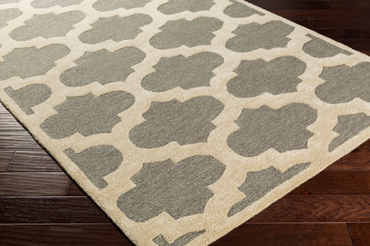 Arise AWRS-2125 9' x 12' Handmade Area Rug