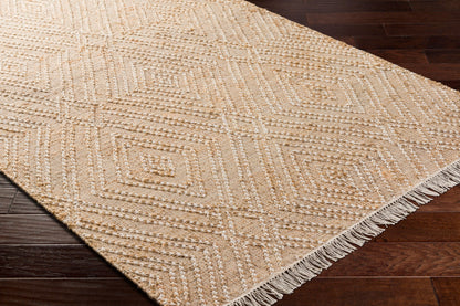 Adalyn AYD-2300 Hand Woven Rug