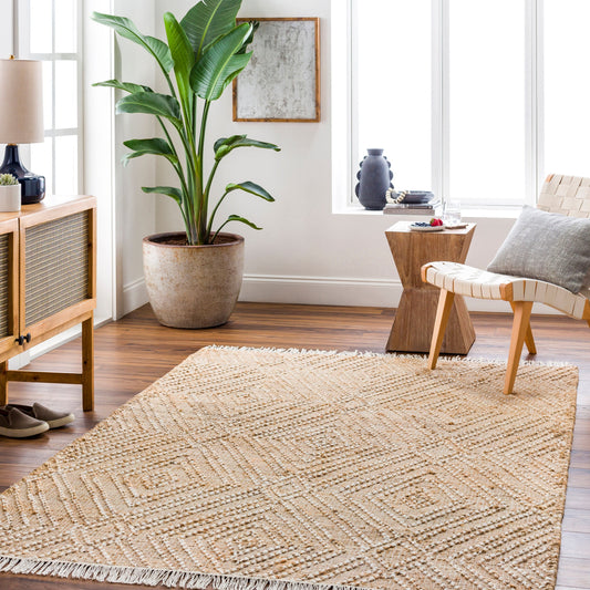 Adalyn AYD-2300 Hand Woven Rug