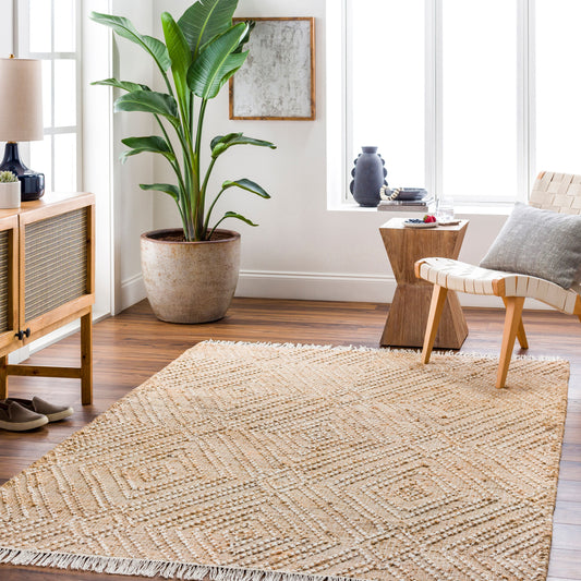 Adalyn AYD-2300 2' x 3' Handmade Jute Accent Rug