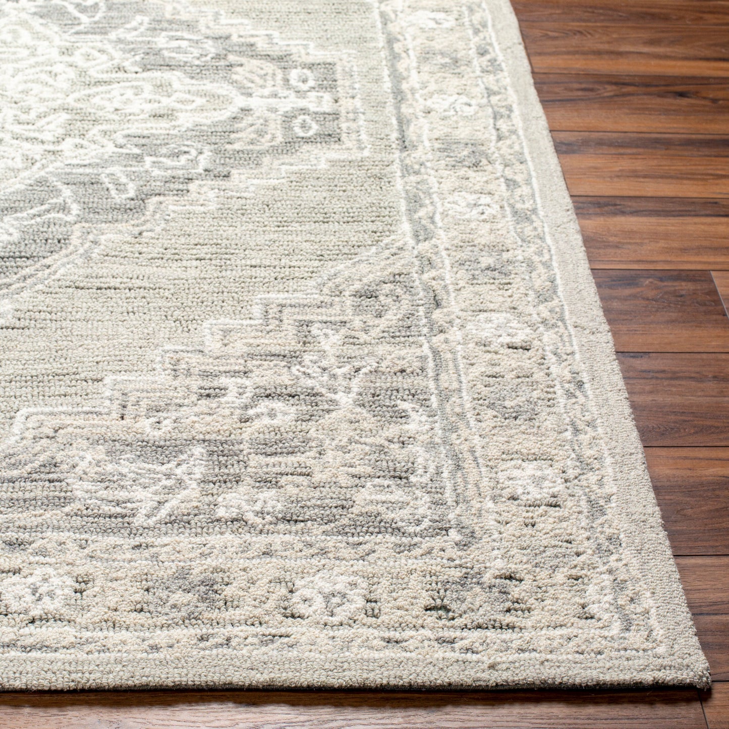 Addyson AYO-2303 2' x 3' Handmade Wool Accent Rug