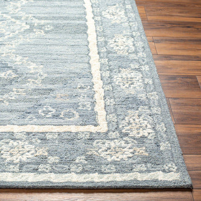 Addyson AYO-2305 Hand Tufted Rug