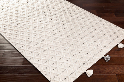 Azalea AZA-2301 2' x 3' Handmade Recyled Accent Rug