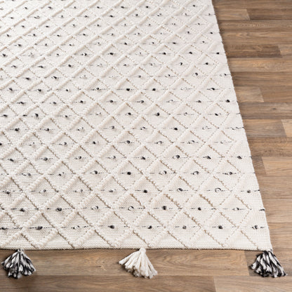 Azalea AZA-2301 2' x 3' Handmade Recyled Accent Rug