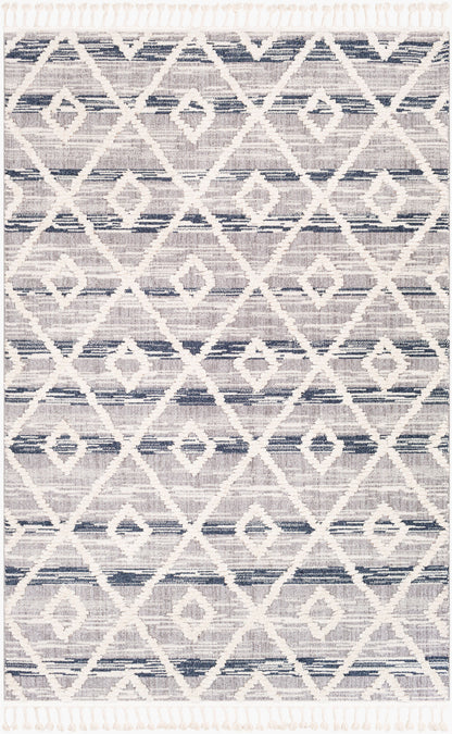 Azilal AZI-2301 2' x 3' Machine Woven Accent Rug