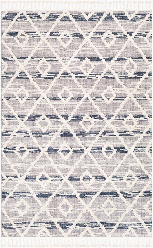 Azilal AZI-2301 2' x 3' Machine Woven Accent Rug