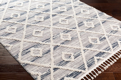 Azilal AZI-2301 8' x 10' Machine Woven Area Rug