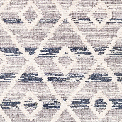 Azilal AZI-2301 2' x 3' Machine Woven Accent Rug