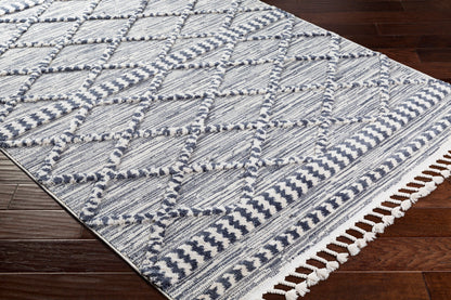 Azilal AZI-2309 8' x 10' Machine Woven Area Rug