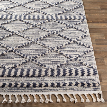 Azilal AZI-2309 5' x 7' Machine Woven Area Rug