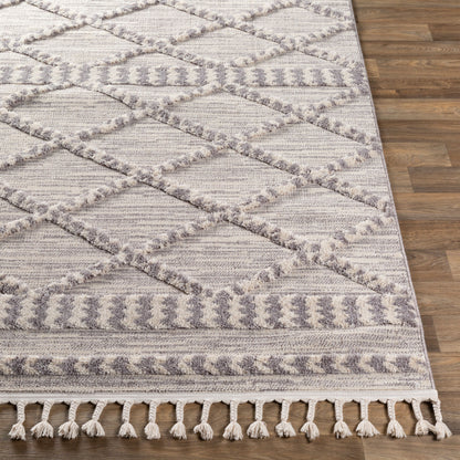 Azilal AZI-2310 2' x 3' Machine Woven Accent Rug