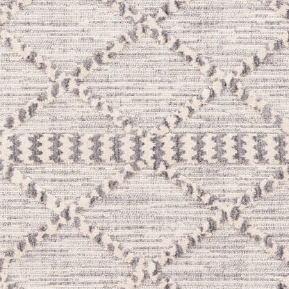Azilal AZI-2310 2' x 3' Machine Woven Accent Rug