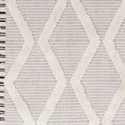 Azilal AZI-2317 5' x 7' Machine Woven Area Rug