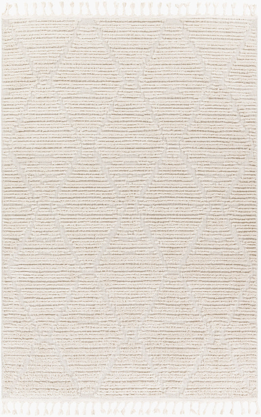 Azilal AZI-2318 5' x 7' Machine Woven Area Rug