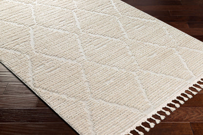 Azilal AZI-2318 9' x 12' Machine Woven Area Rug