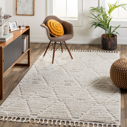 Azilal AZI-2318 9' x 12' Machine Woven Area Rug