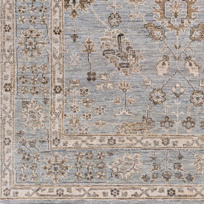 Alfombra decorativa de lana hecha a mano Bala BAA-5005 de 2' x 3'