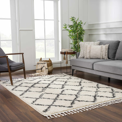 Berber Shag BBE-2300 Machine Woven Rug