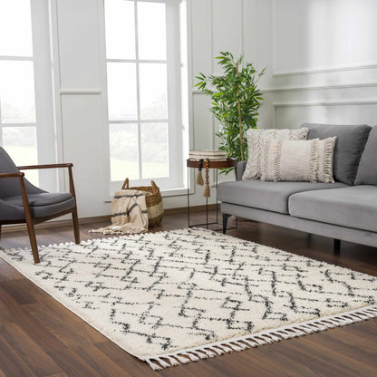 Berber Shag BBE-2301 Machine Woven Rug