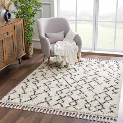 Berber Shag BBE-2301 Machine Woven Rug