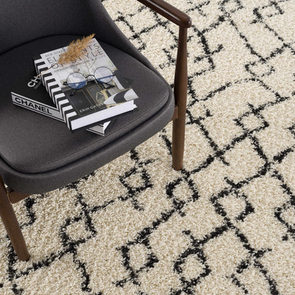 Berber Shag BBE-2301 Machine Woven Rug