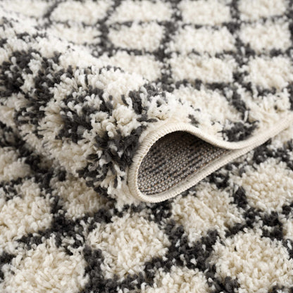 Berber Shag BBE-2309 Machine Woven Rug