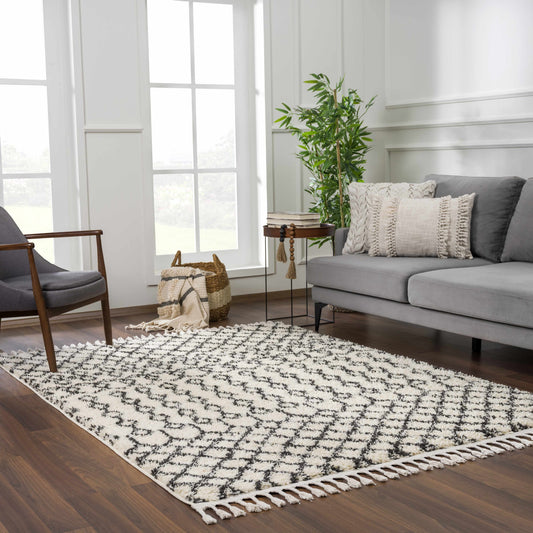 Berber Shag BBE-2309 Machine Woven Rug