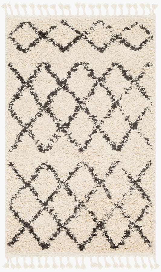 Berber Shag BBE-2300 3'1" x 4'11" Machine Woven Accent Rug