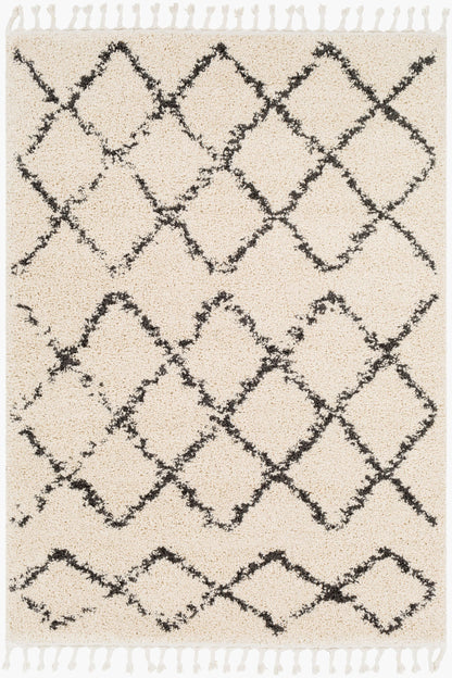 Berber Shag BBE-2300 5' x 7' Machine Woven Area Rug