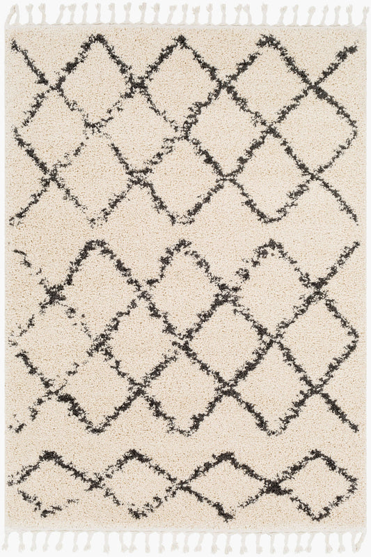 Berber Shag BBE-2300 3'11" x 5'7" Machine Woven Accent Rug