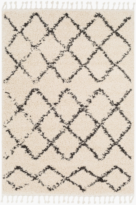 Berber Shag BBE-2300 2' x 3' Machine Woven Accent Rug