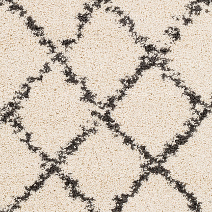 Berber Shag BBE-2300 2' x 3' Machine Woven Accent Rug