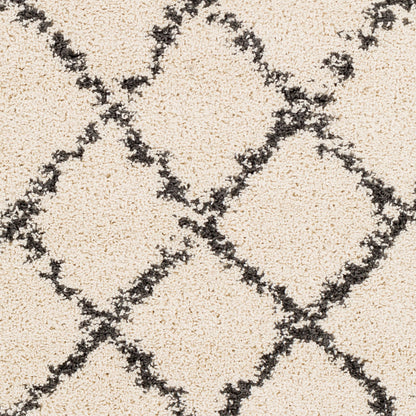 Berber Shag BBE-2300 3'11" x 5'7" Machine Woven Accent Rug