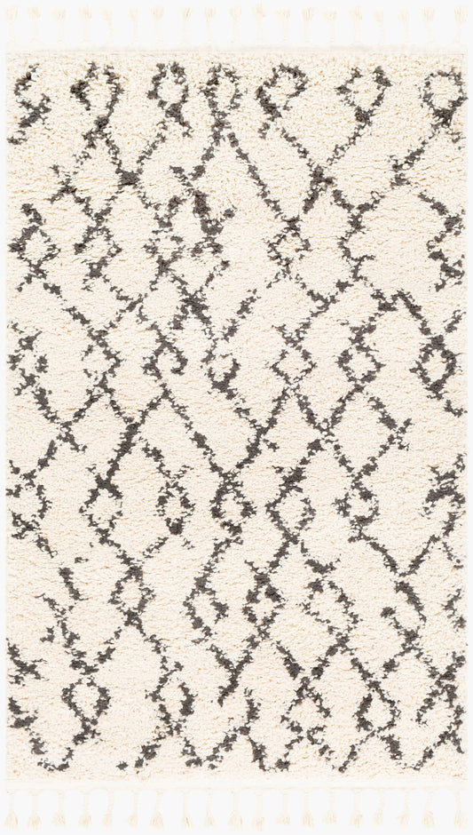 Berber Shag BBE-2301 3'1" x 4'11" Machine Woven Accent Rug