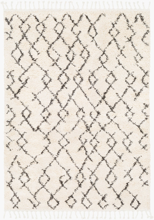 Berber Shag BBE-2301 3'11" x 5'7" Machine Woven Accent Rug