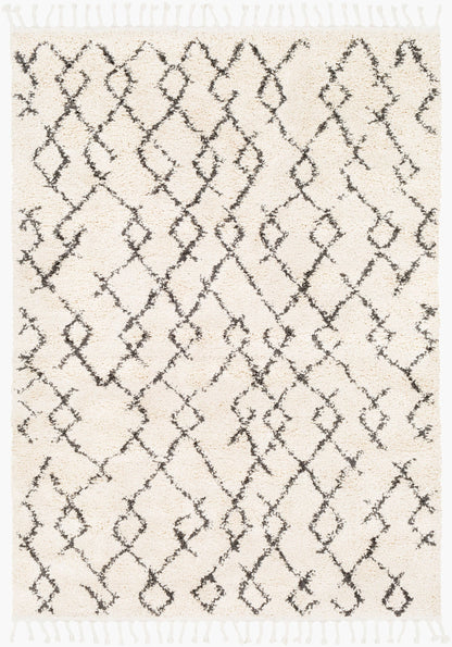 Berber Shag BBE-2301 5' x 7' Machine Woven Area Rug