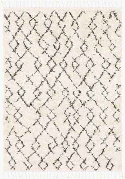 Berber Shag BBE-2301 2' x 3' Machine Woven Accent Rug