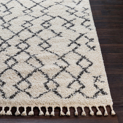 Berber Shag BBE-2301 5' x 7' Machine Woven Area Rug