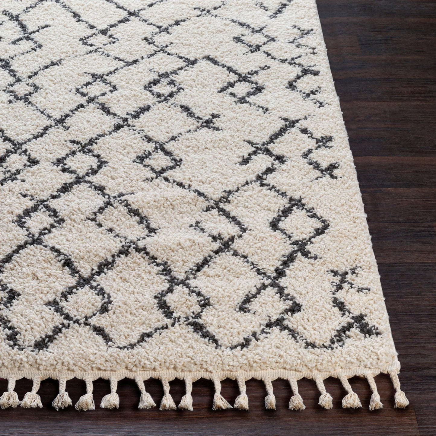 Berber Shag BBE-2301 3'11" x 5'7" Machine Woven Accent Rug