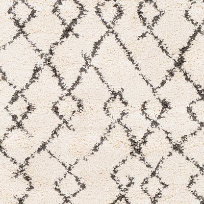 Berber Shag BBE-2301 5' x 7' Machine Woven Area Rug