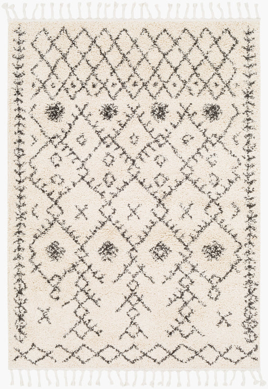 Berber Shag BBE-2302 2' x 3' Machine Woven Accent Rug