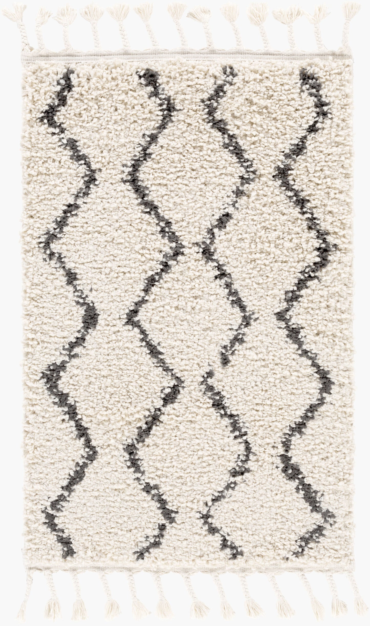 Berber Shag BBE-2303 2' x 3' Machine Woven Accent Rug