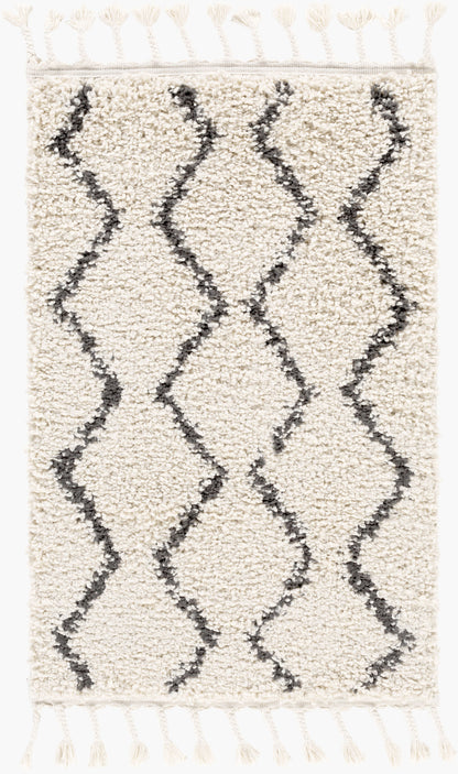 Berber Shag BBE-2303 2' x 3' Machine Woven Accent Rug