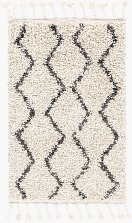 Berber Shag BBE-2303 2' x 3' Machine Woven Accent Rug