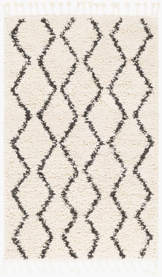 Berber Shag BBE-2303 3'1" x 4'11" Machine Woven Accent Rug