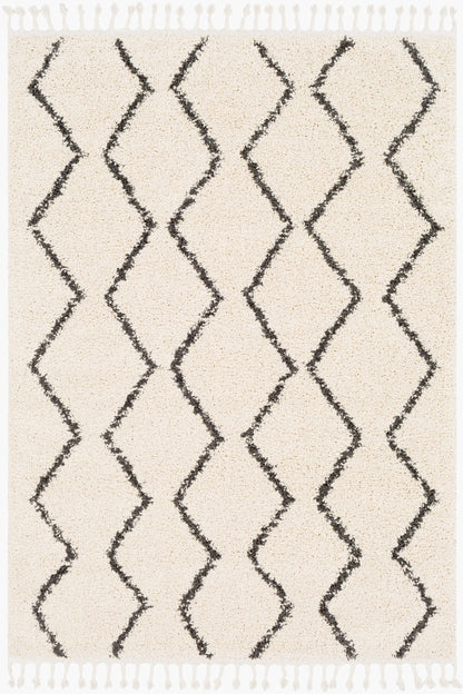 Berber Shag BBE-2303 5' x 7' Machine Woven Area Rug