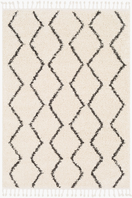 Berber Shag BBE-2303 3'11" x 5'7" Machine Woven Accent Rug