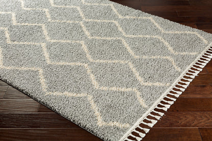 Berber Shag BBE-2304 9' x 12' Machine Woven Area Rug
