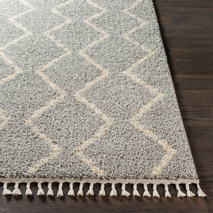 Berber Shag BBE-2304 9' x 12' Machine Woven Area Rug